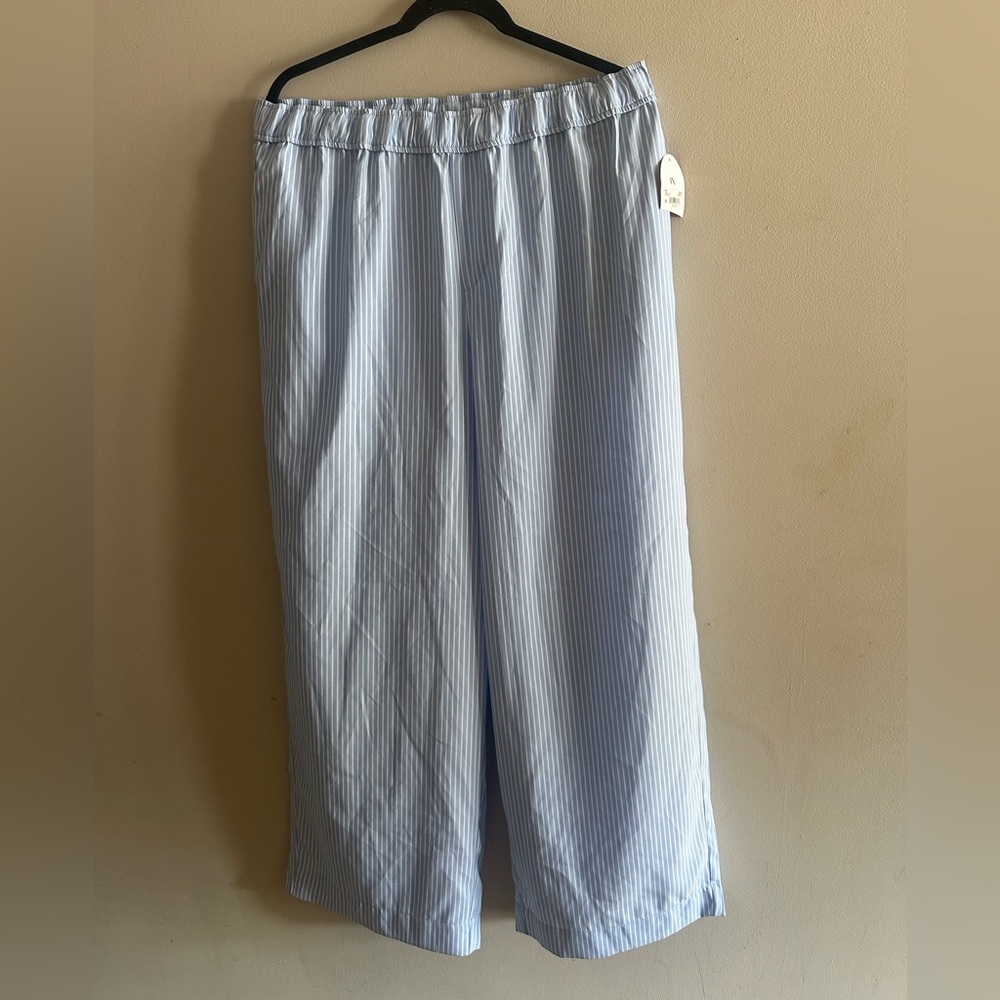 🌟 MWT ARULA Light Blue Pinstripe Wide-Leg Pants Size 1X